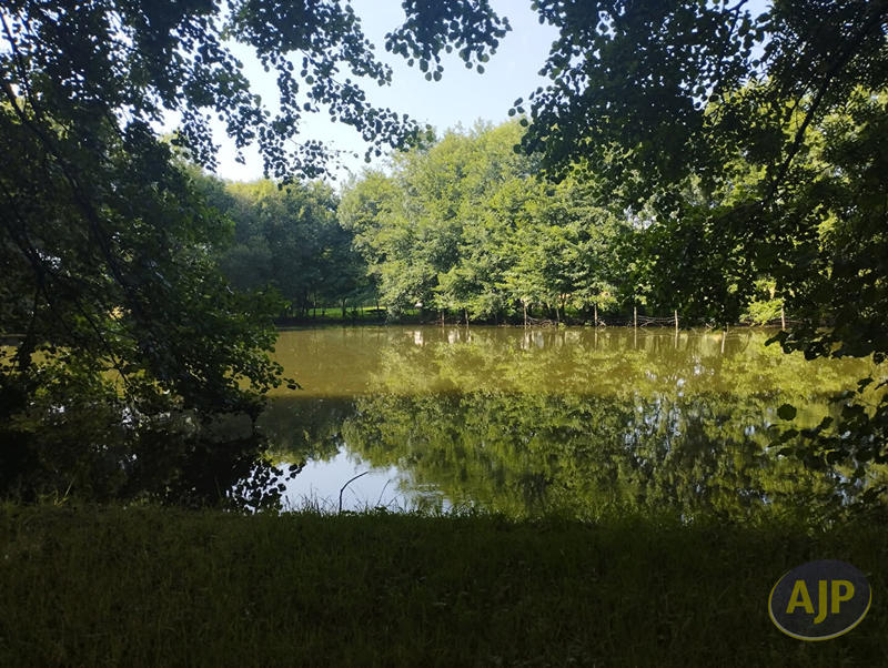 Terrain - 11 165 m²