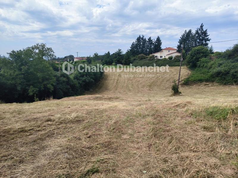 Terrain constructible - 4 682 m²