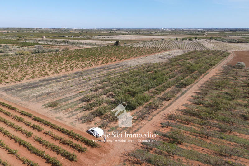 Terrain agricole - 21 895 m²