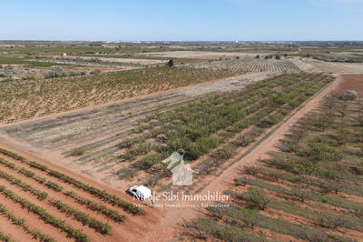 Terrain agricole - 21 895 m²