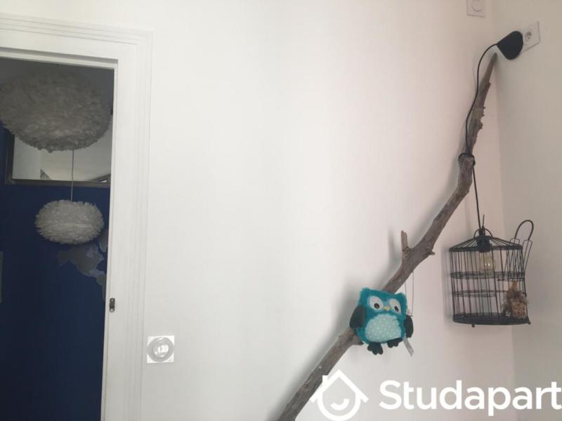 Chambre - 17 m² - 1 pièce