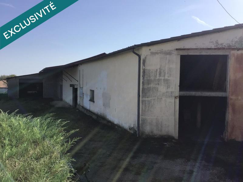 Local commercial - 1 400 m² - 2 pièces