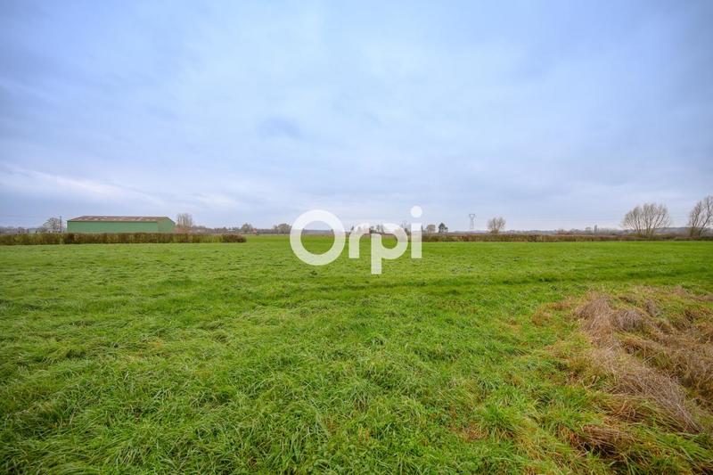 Ferme - 130 m² - 5 pièces