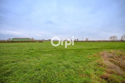 Ferme - 130 m² - 5 pièces