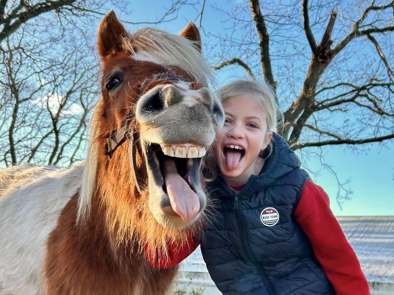 Stages Rêver Réalité