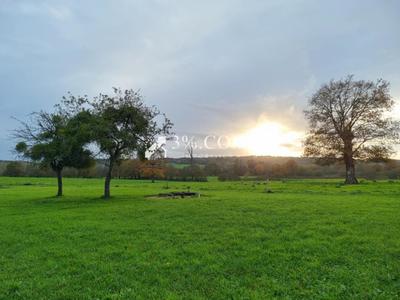 Maison en pierre - 107 m² - 5 pièces