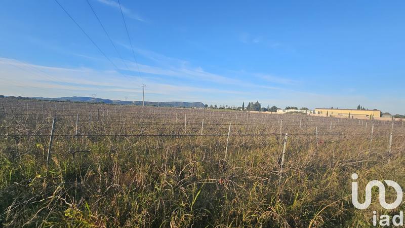 Terrain agricole - 6 151 m²