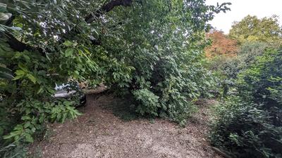 Maison - 41 m² - 2 pièces