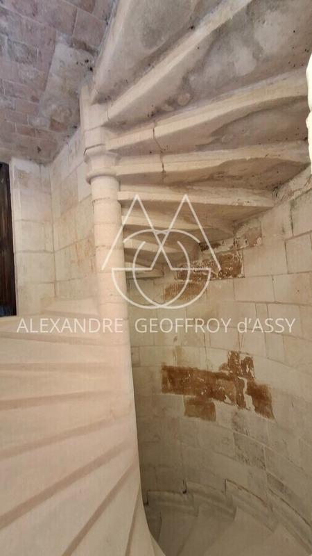 Château - 3 000 m² - 16 pièces