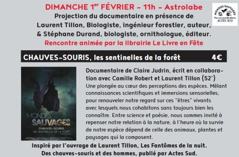 Ciné-rencontre à Figeac : chauves-souris, les sentinelles de la forêt