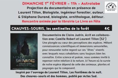 Ciné-rencontre à Figeac : chauves-souris, les sentinelles de la forêt