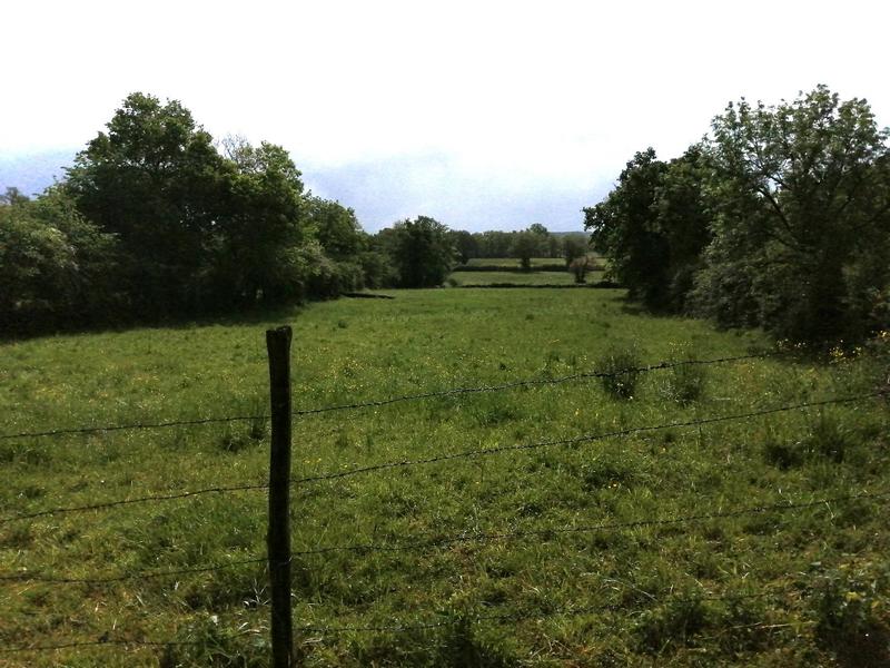 Propriété - 1 pièce