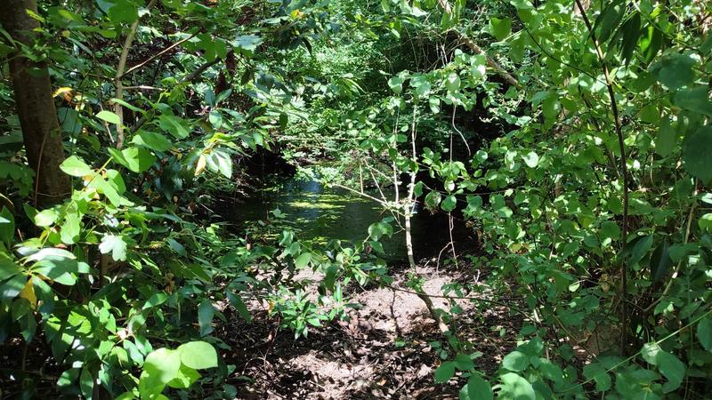 Maison ancienne - 197 m² - 8 pièces