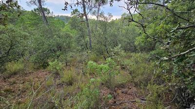 Terrain agricole - 11 136 m²