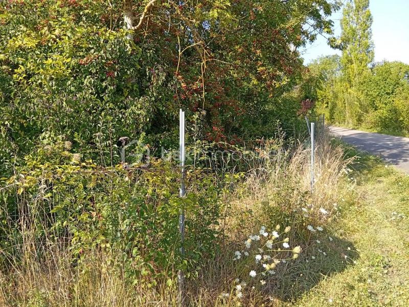 Terrain de loisirs - 799 m²