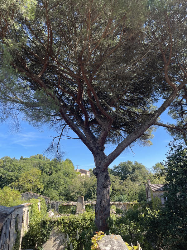 Propriété - 900 m² - 14 pièces