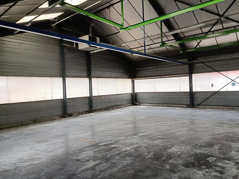 Immeuble - 1 170 m² - 6 pièces