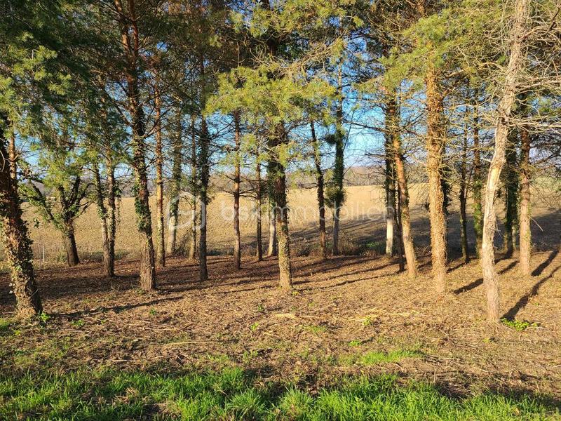 Terrain constructible - 1 000 m²