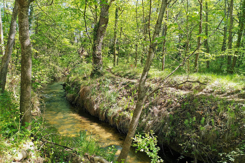 Propriété - 270 m² - 10 pièces