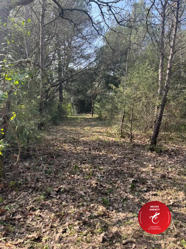 Terrain de loisirs - 3 402 m²