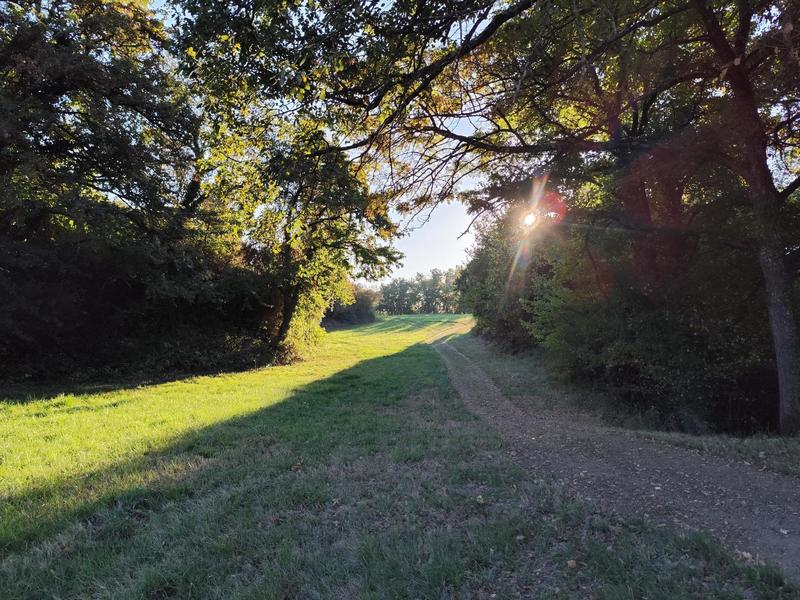 Terrain agricole - 219 900 m²