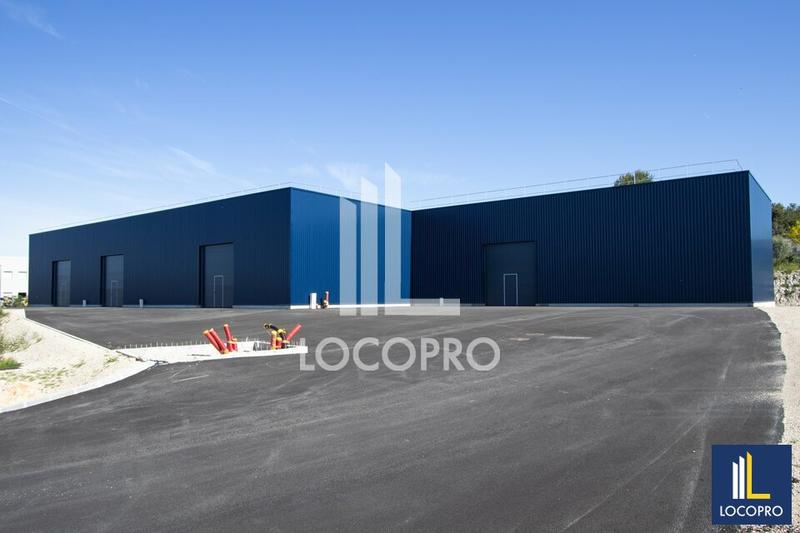 Local d'activité / Entrepôt - 1 255 m²