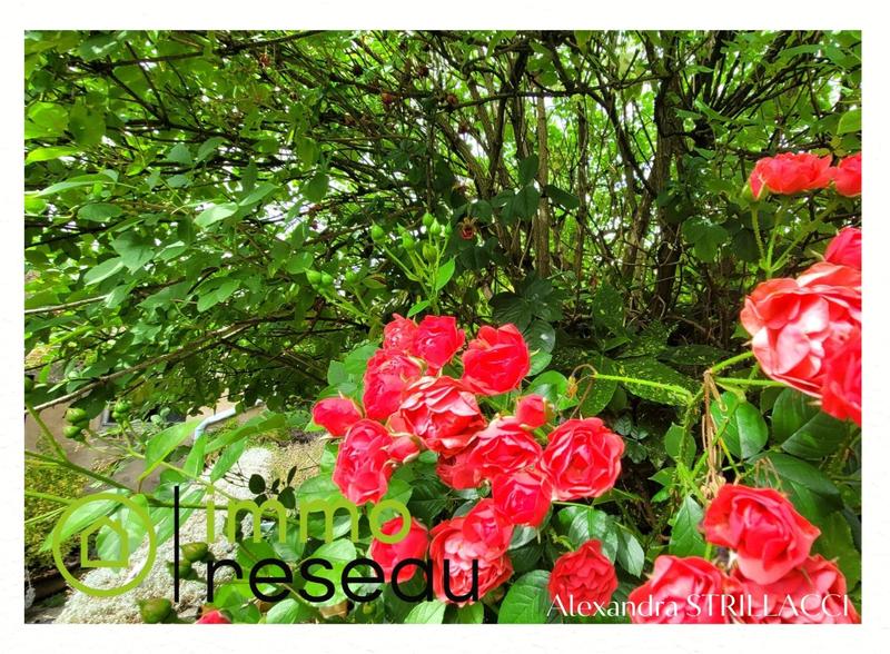 Maison - 183 m² - 6 pièces