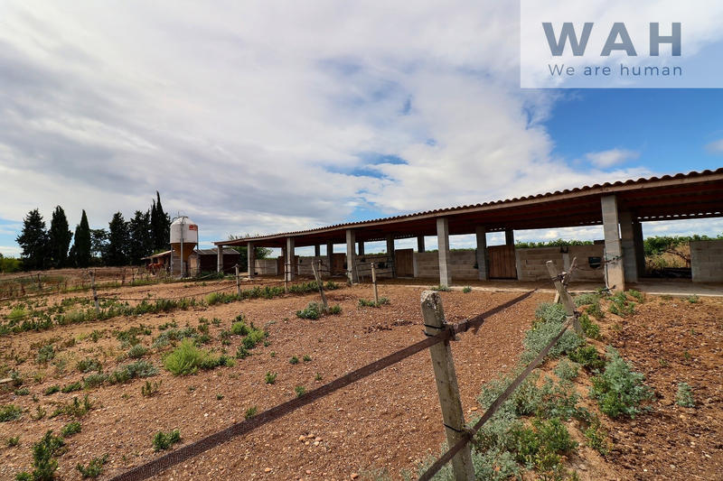 Terrain agricole - 2 474 m²