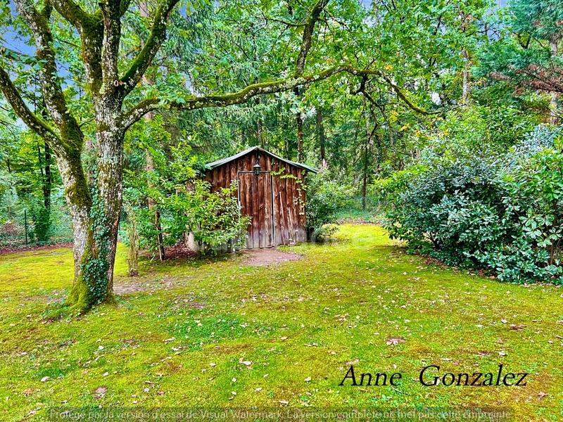 Propriété - 295 m² - 9 pièces