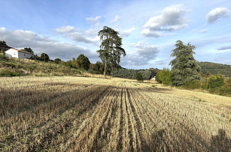 Terrain de lotissements - 972 m²