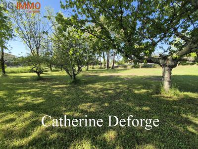 Terrain constructible - 1 360 m²