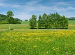 Terrain constructible - 749 m²