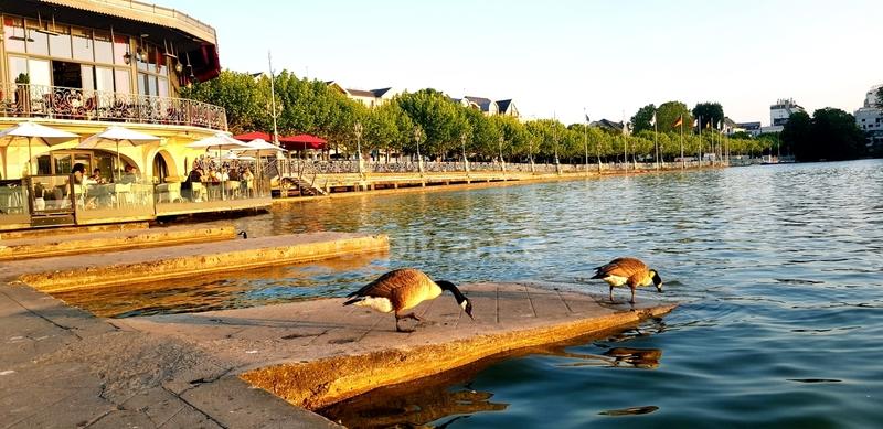 Appartement - 79 m² - 4 pièces