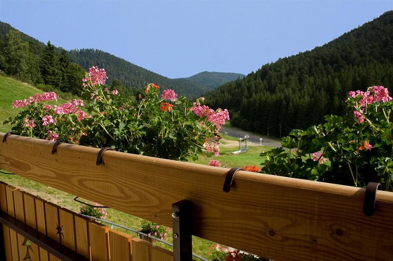 Propriété - 1 510 m² - 45 pièces