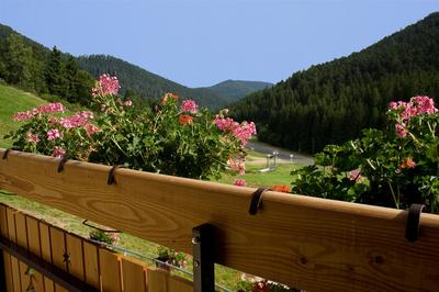 Propriété - 1 510 m² - 45 pièces