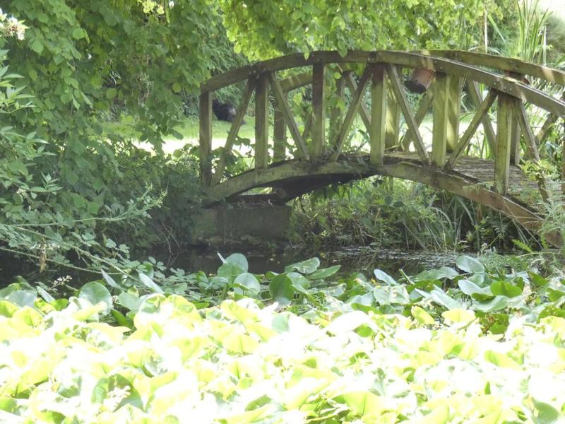 Propriété - 288 m² - 9 pièces