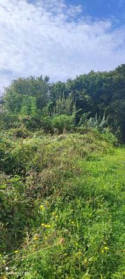 Terrain industriel - 408 m²