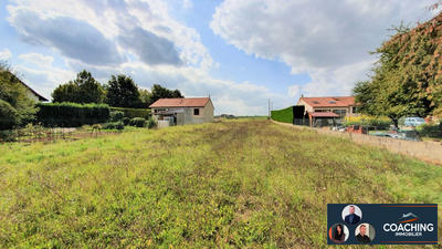 Terrain - 1 238 m²