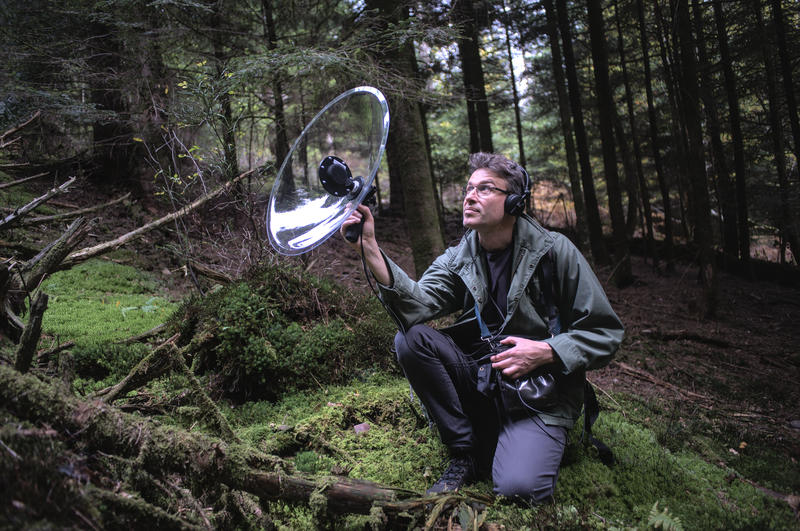 Paysage sonore - à l'écoute du vivant