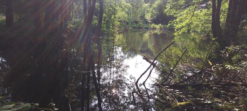 Terrain de loisirs - 3 045 m²