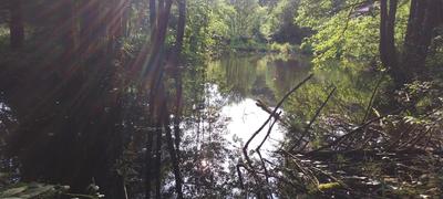 Terrain de loisirs - 3 045 m²