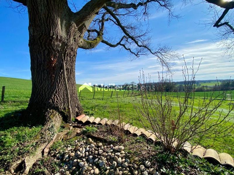 Corps de ferme - 225 m² - 7 pièces