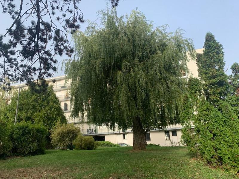 Studio - 25 m² - 1 pièce