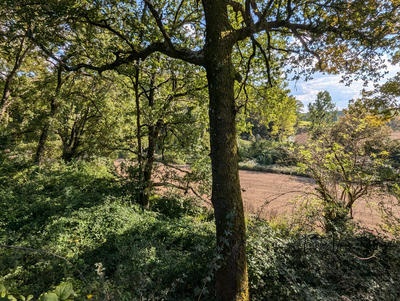 Maison - 92 m² - 5 pièces