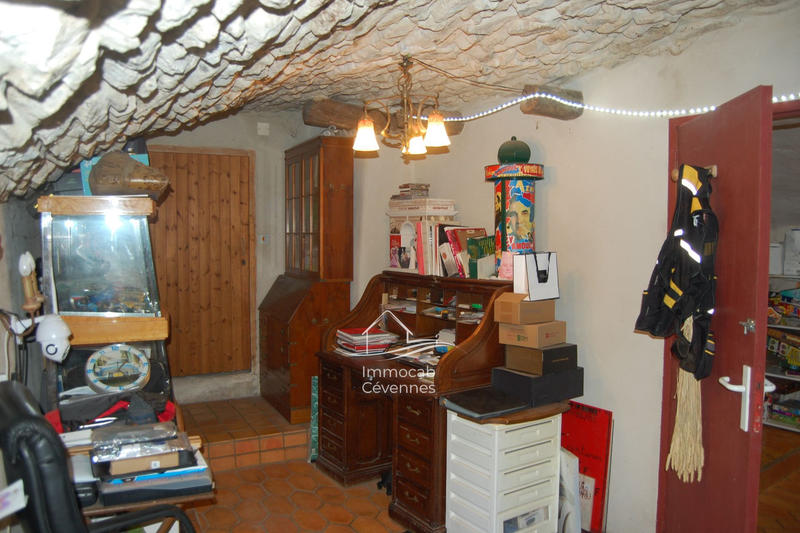 Mas - 740 m² - 10 pièces