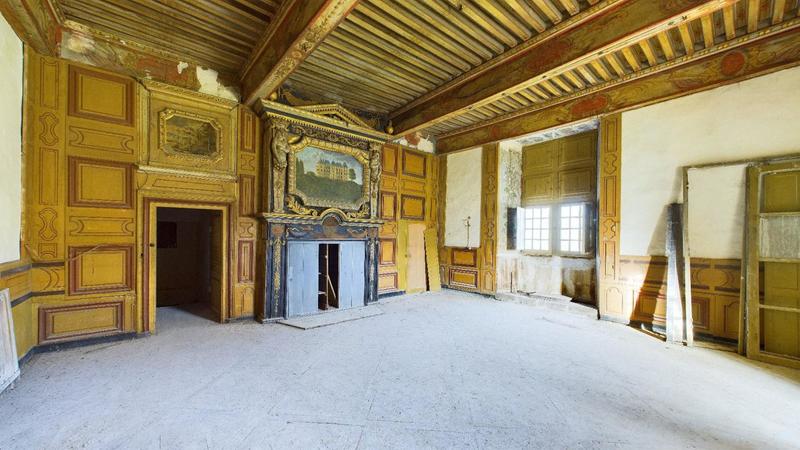 Château - 3 000 m² - 30 pièces