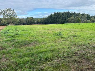 Terrain constructible - 1 306 m²