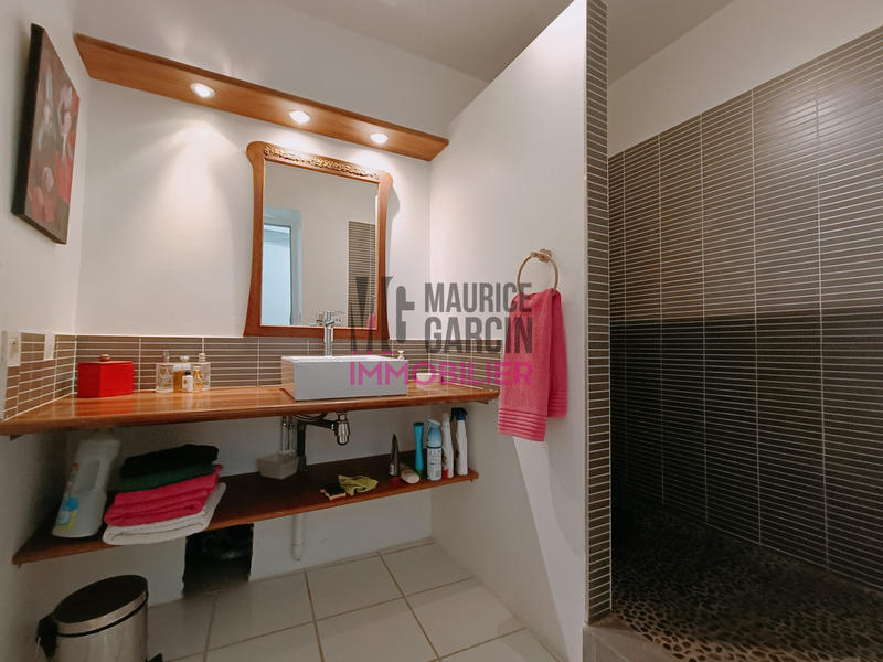 Mas - 380 m² - 10 pièces