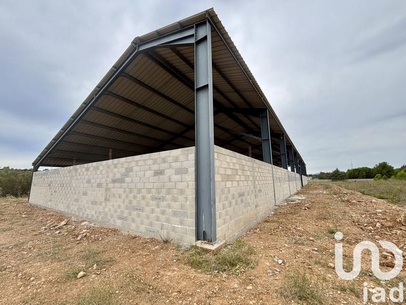 Terrain - 16 205 m²