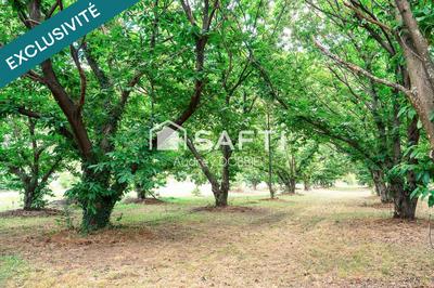 Maison - 232 m² - 13 pièces